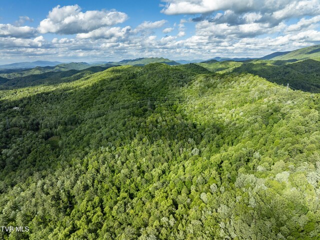 TBD Blaine White Rd, Erwin, TN 37650 - photo 6