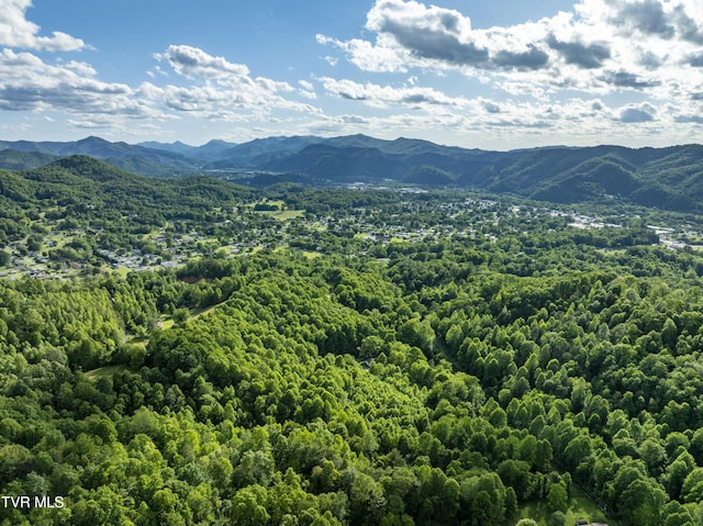 TBD Blaine White Rd, Erwin, TN 37650 - photo 2
