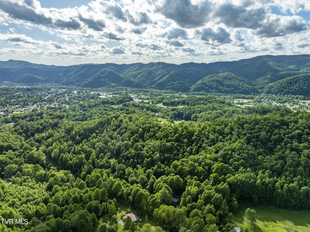 TBD Blaine White Rd, Erwin, TN 37650 - photo 15