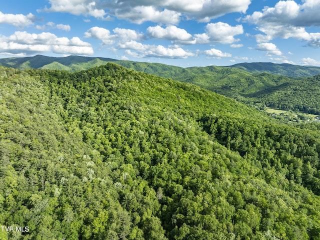 TBD Blaine White Rd, Erwin, TN 37650 - photo 12