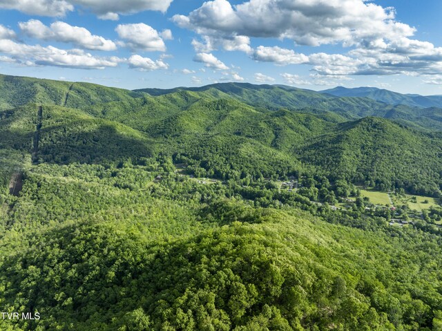 TBD Blaine White Rd, Erwin, TN 37650 - photo 13