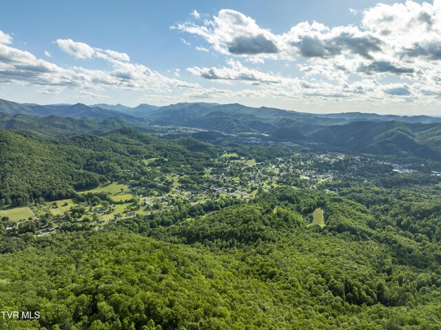 TBD Blaine White Rd, Erwin, TN 37650 - photo 16