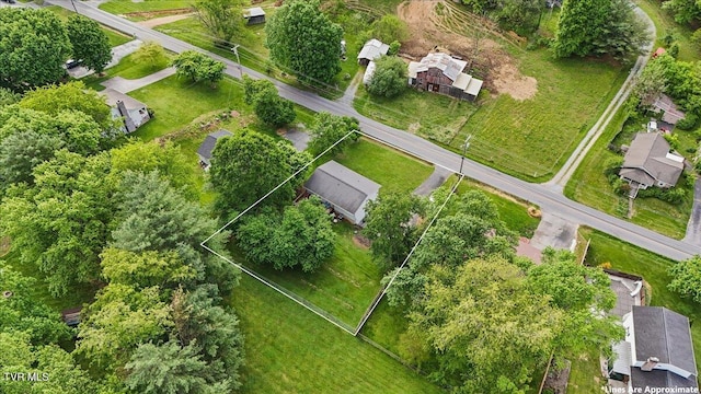 bird's eye view