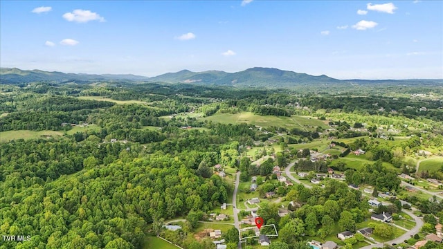 birds eye view of property featuring a forest view and a mountain view