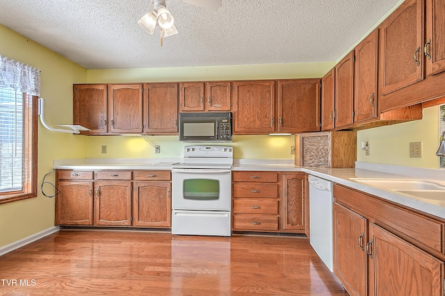 465 Manor Dr Unit D, Kingsport, TN 37660 - photo 7
