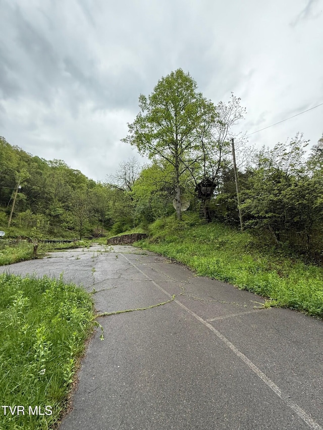 view of road with a wooded view