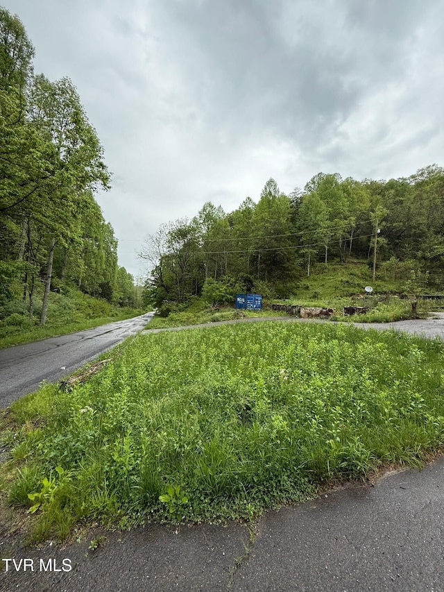 view of road with a view of trees