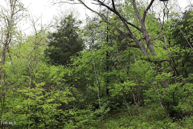 view of nature with a view of trees