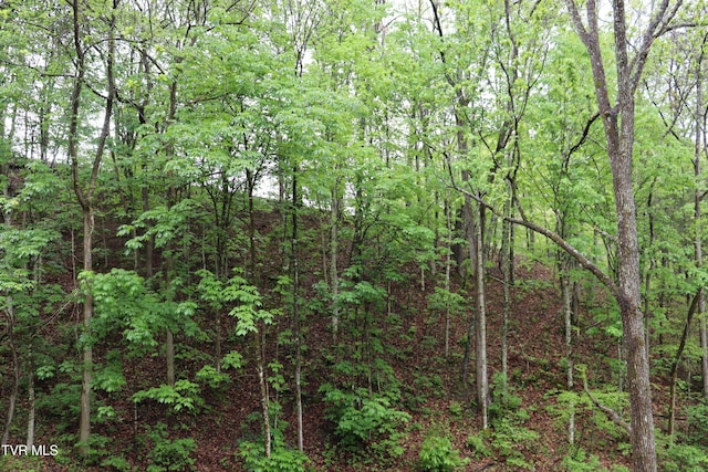 view of nature featuring a view of trees
