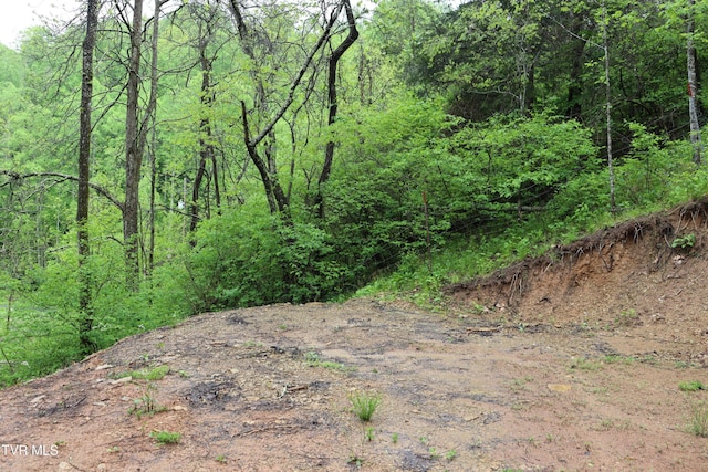 view of landscape with a view of trees