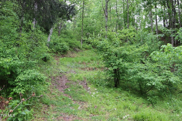 view of landscape featuring a view of trees