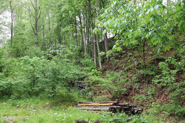 view of landscape featuring a forest view