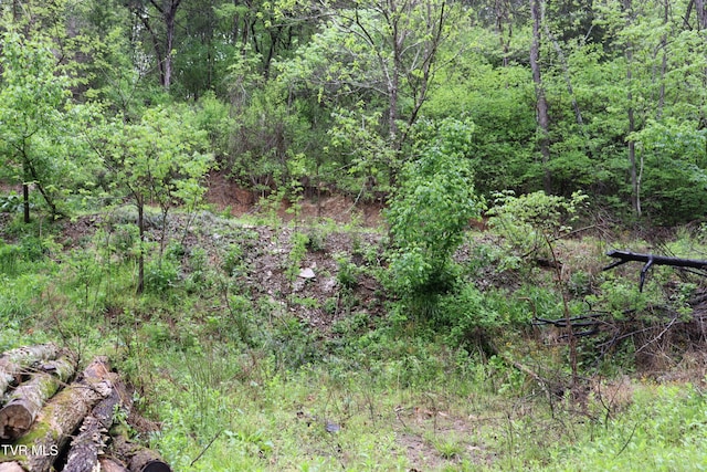 view of landscape featuring a forest view