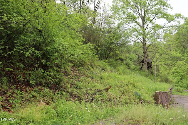 view of local wilderness with a wooded view