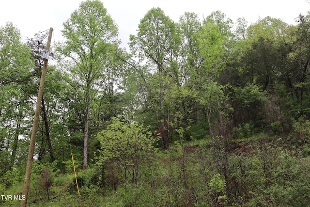 view of landscape with a view of trees