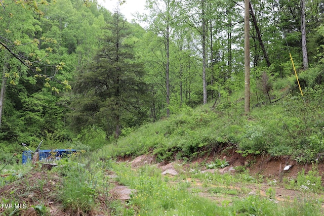 view of nature featuring a wooded view