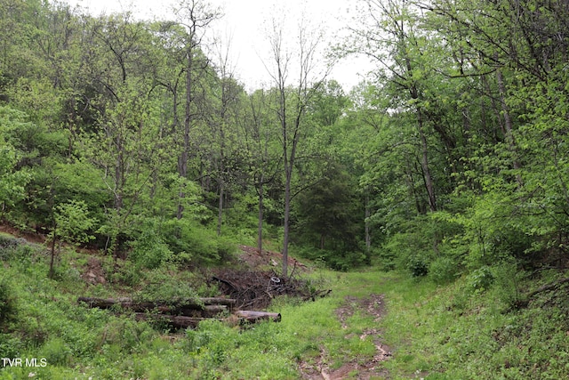 view of nature with a forest view