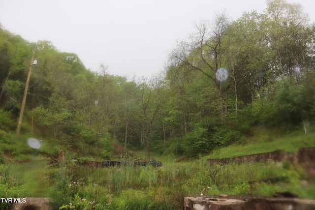 view of nature featuring a wooded view