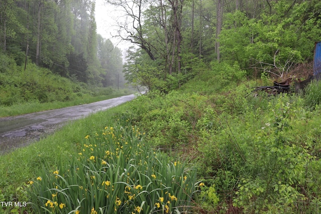 view of road with a wooded view