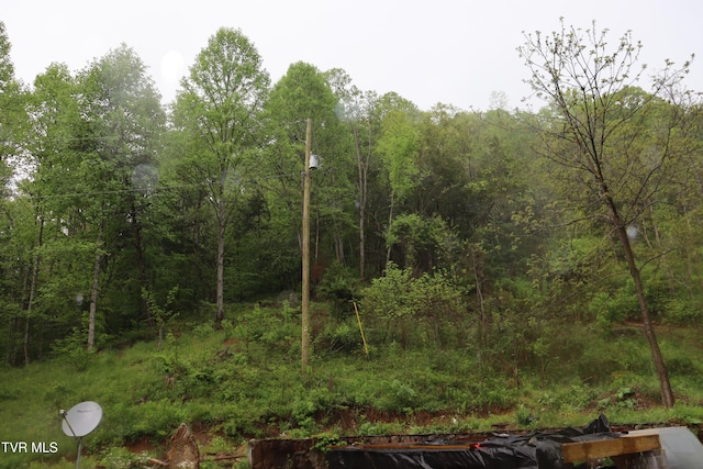 view of local wilderness featuring a view of trees