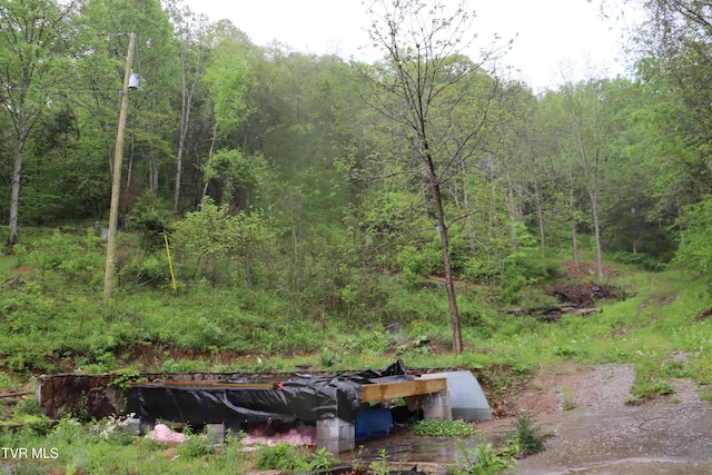 view of local wilderness featuring a view of trees