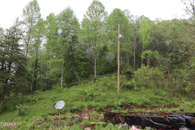 view of landscape featuring a wooded view