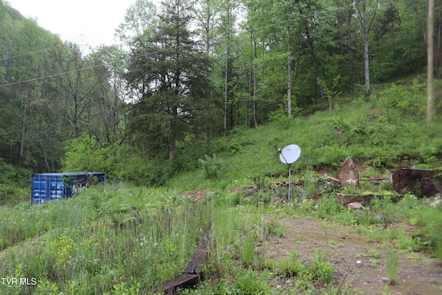 view of yard featuring a wooded view