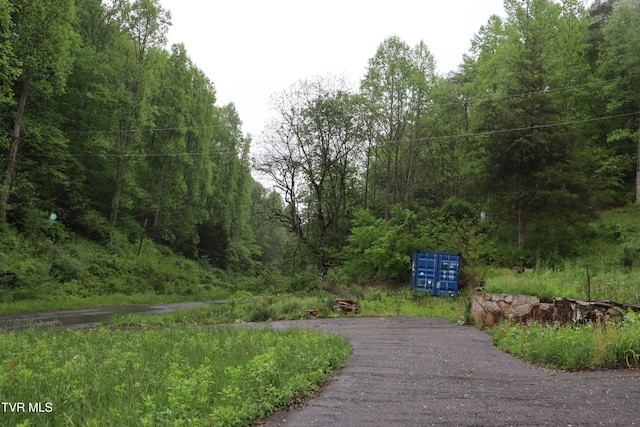 view of home's community featuring a wooded view