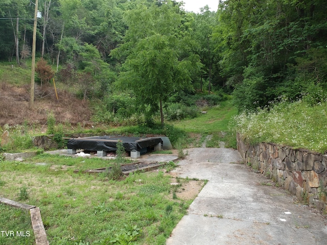 29188 Chestnut Rd, Meadowview, VA 24361 - photo 2