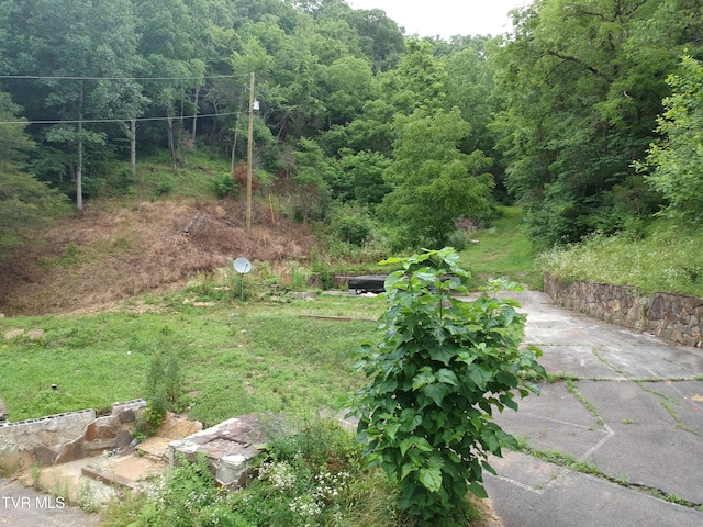 29188 Chestnut Rd, Meadowview, VA 24361 - photo 6