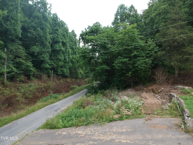 29188 Chestnut Rd, Meadowview, VA 24361 - photo 5