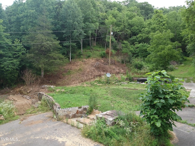29188 Chestnut Rd, Meadowview, VA 24361 - photo 4