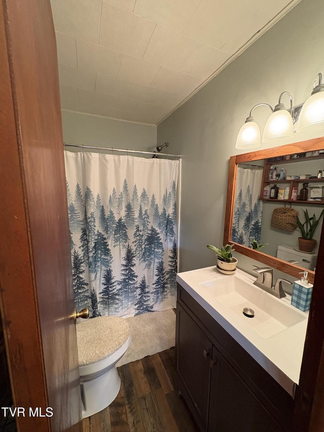 211 Arthur G Caudill Rd, West Jefferson, NC 28694 - bathroom featuring toilet, wood finished floors, vanity, and a shower with curtain