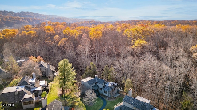 bird's eye view with a view of trees