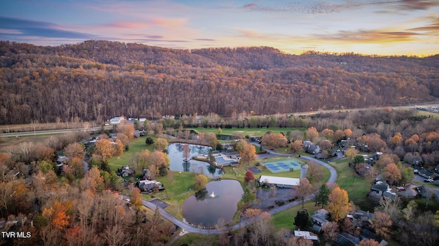 bird's eye view featuring a water view and a forest view