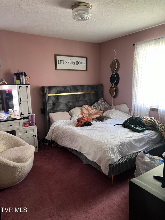 6430 Hoot Owl Hollow Rd, Norton, VA 24273 - bedroom with a textured ceiling and carpet flooring
