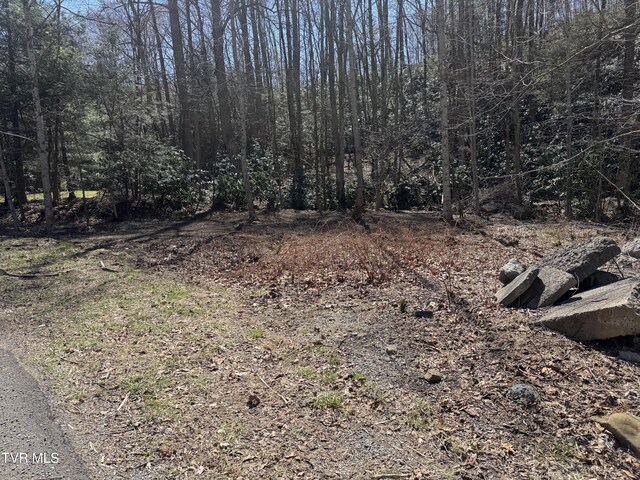 6430 Hoot Owl Hollow Rd, Norton, VA 24273 - view of nature