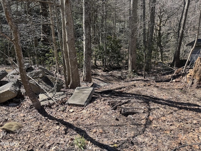 6430 Hoot Owl Hollow Rd, Norton, VA 24273 - view of nature