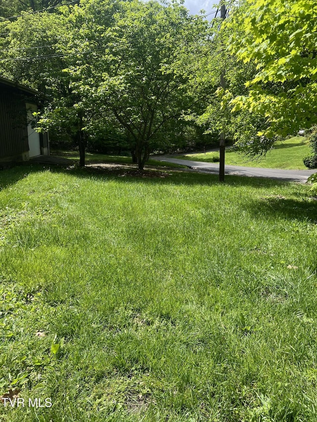 6430 Hoot Owl Hollow Rd, Norton, VA 24273 - view of yard