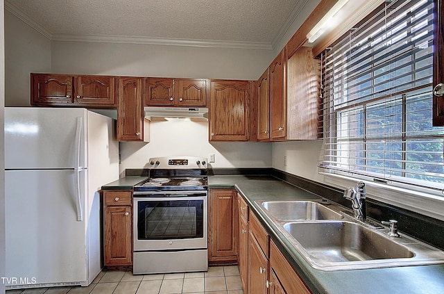 33 Oak Leaf Cir Unit 33, Johnson City, TN 37601 - kitchen with freestanding refrigerator, stainless steel electric range, under cabinet range hood, a sink, and dark countertops