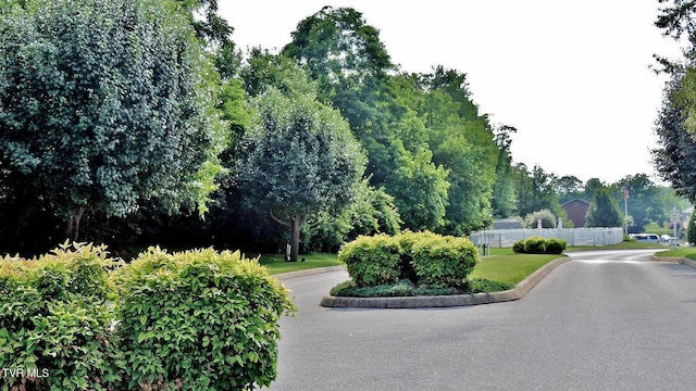 33 Oak Leaf Cir Unit 33, Johnson City, TN 37601 - view of property's community with view of scattered trees