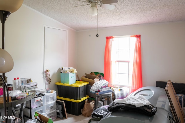 interior space featuring a ceiling fan, multiple windows, crown molding, and a textured ceiling