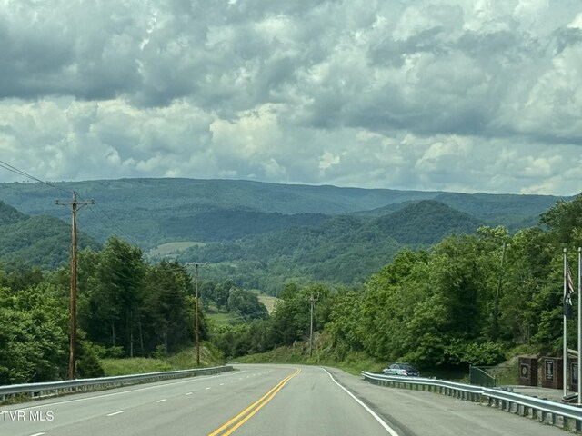 4331 Sentry Rd, Big Stone Gap, VA 24219 - view of mountain backdrop with a forest