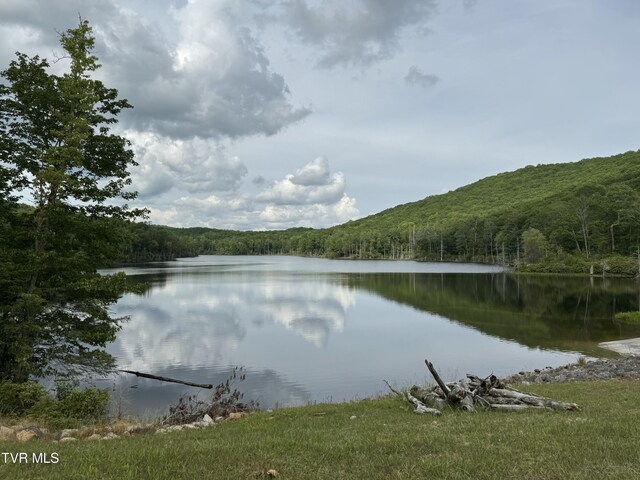 4331 Sentry Rd, Big Stone Gap, VA 24219 - water view with a forest