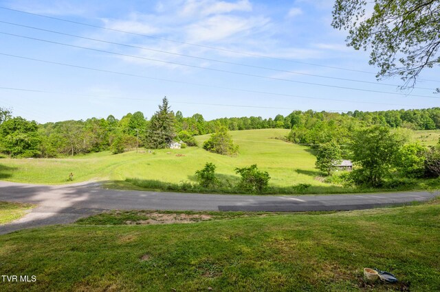 23249 Marys Chapel Rd, Bristol, VA 24202 - view of street