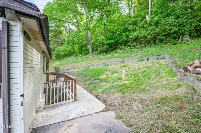 23249 Marys Chapel Rd, Bristol, VA 24202 - view of yard
