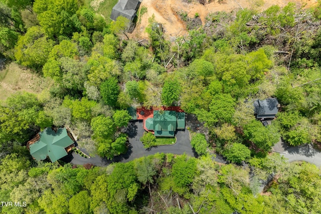 bird's eye view