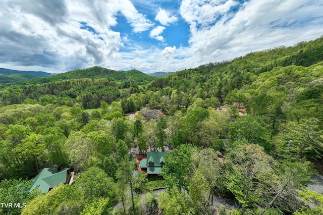 birds eye view of property featuring a mountain view and a forest view