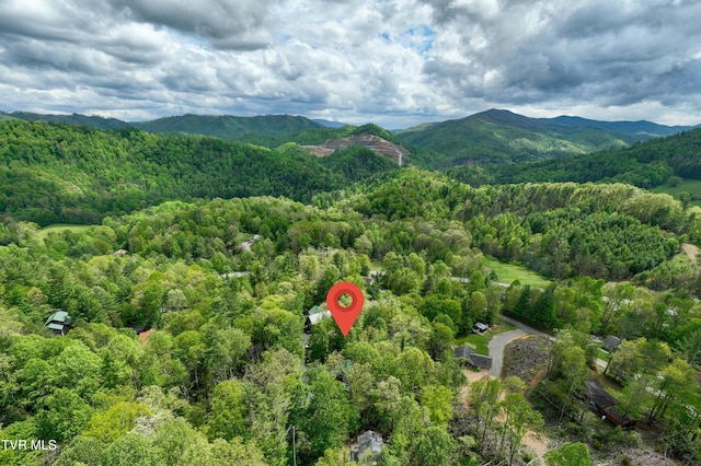 bird's eye view with a mountain view and a forest view