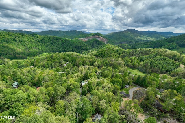 birds eye view of property featuring a mountain view and a wooded view
